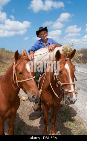 Kuba-Cienfuegos alte Mann Cowboy Porträt Wiith Pferde auf der Straße im Bereich Landwirtschaft Stockfoto