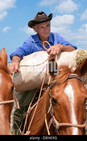 Kuba-Cienfuegos alte Mann Cowboy Porträt Wiith Pferde auf der Straße im Bereich Landwirtschaft Stockfoto