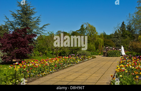 SZENEN AUS DER BIBEL DEN GARTEN IM FRÜHLING IN DER NÄHE VON ELGIN CATHEDRAL MORAY SCHOTTLAND Stockfoto