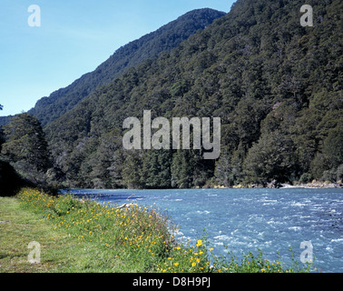 Fluss, der durch Tal mit Bergen auf der Rückseite, The Haast Pass, Otago Region, Südinsel, Neuseeland. Stockfoto