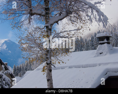 Trelechamp, Chamonix, haute Savoie, Frankreich Stockfoto