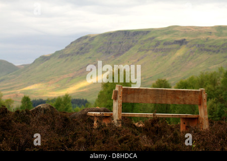 Einsame leere Bank im Heidekraut, Schottland, UK Stockfoto