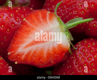 Die britischen Erdbeeren sind so eine brillante rote Sommerfrucht! Nahaufnahme einer in zwei Hälften geschnittenen Frucht mit Samen Stockfoto