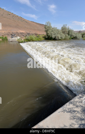 Flusswehr auf Bruneau River, Idaho. Stockfoto