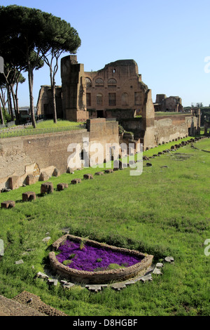 Palatino-Stadion in Rom, Italien. Stockfoto