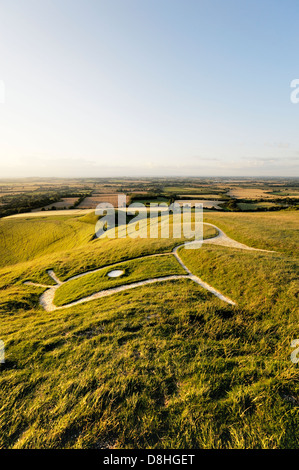 Uffington White Horse. Prähistorische Bronzezeitalter Hügel Kreidefigur Oxfordshire, England. Über Kopf, Augen, Ohren und Hals hautnah Stockfoto