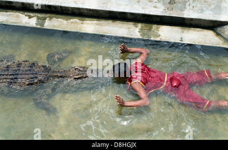 Mann küssen ein Krokodil in einer Krokodilfarm. Stockfoto