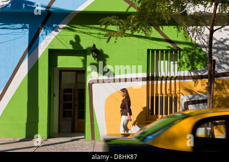 Südamerika, Chile, Santiago, bunt bemalte Housefronts im trendigen Viertel Barrio Bellavista Stockfoto