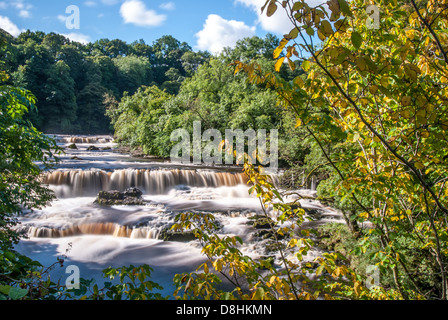 Aysgarth Falls sind eine dreifache Flug von Wasserfällen, von Wald und Ackerland umgeben, geschnitzt aus durch den Fluß Ure Stockfoto