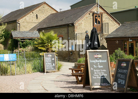 Viel Marcle Herefordshire England GB UK 2013 Stockfoto