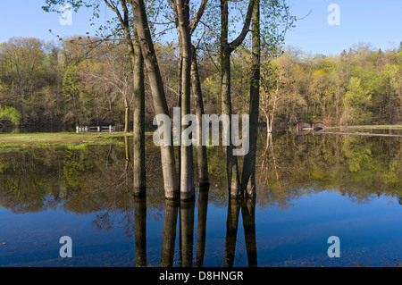 Rebecca Park Lake Fishing Pier Brücke und Banken unter Wasser in Hastings, Minnesota Stockfoto