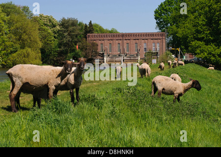 hydroelektrischen Kraftwerk Oldenburg auf Hunte Fluss, Oldenbuger Land, Niedersachsen, Deutschland Stockfoto