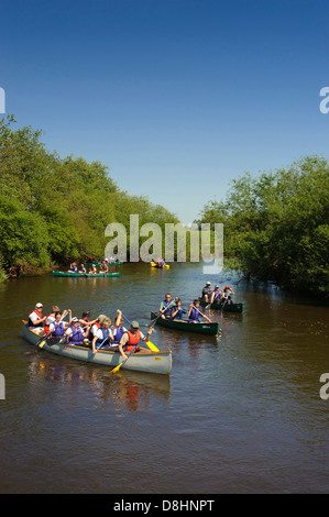 Kanutour auf der Hunte Fluss, Oldenbuger Land, Niedersachsen, Deutschland Stockfoto