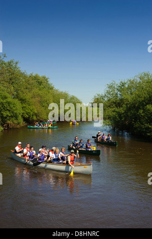 Kanutour auf der Hunte Fluss, Oldenbuger Land, Niedersachsen, Deutschland Stockfoto