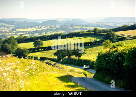 Auto fahren hinunter die Landstraße führt zu Little Stretton auf der östlichen Flanke des Ragleth Hill, Shropshire, England Südwest Stockfoto