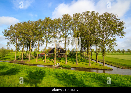 Ein Bauernhaus im Polder "de Beemster". Stockfoto