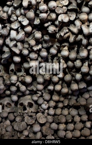 Schädel und Knochen im Kutna Horas "Bone" Kirche Sedlec Beinhaus in Tschechien, Europa. Stockfoto