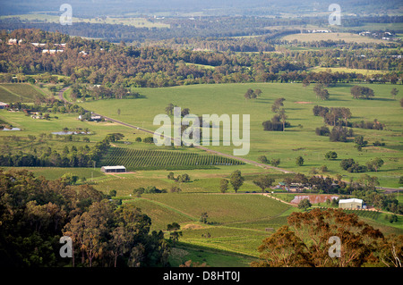 Panoramablick auf Hunter Valley mit Weinbergen NSW Australia Stockfoto
