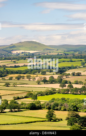 Südwestlich von Wenlock Edge in der Nähe von Easthope über die Sommerlandschaften von Ape Dale bis Caer Caradoc und Th Long Mynd, Shropshire England Stockfoto