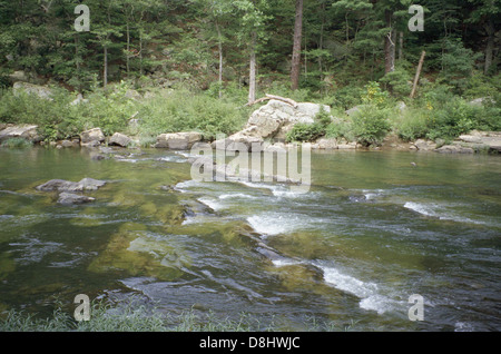 Ein schnell fließender Bach rauscht durch eine felsige Berglandschaft, mit Wasser über die Felsen. Die Szene fängt die Kraft und Schönheit der natürlichen Umgebung in einer bergigen Region ein. Stockfoto