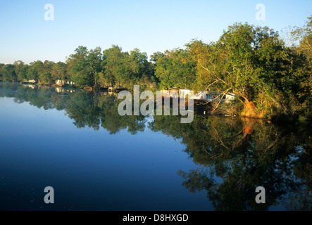 Elk283-4382 Louisiana, Cajun Land, See Fausse Pointe Staatspark, Sonnenaufgang am Borrow Pit-Kanal Stockfoto