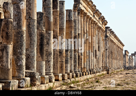 Pompeius Apameia (Apameia) oder Afamia (Arabisch) Teil des römischen Reiches in Syrien gemacht. Cardo Maximus Straße mit Spalten. Stockfoto