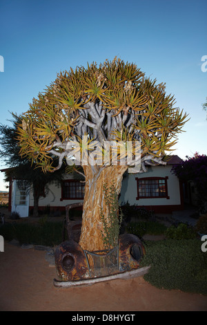 Kokerboom oder Köcherbaum wächst durch verlassene Auto im Canon Roadhouse, in der Nähe von Fish River Canyon, Süd-Namibia Stockfoto