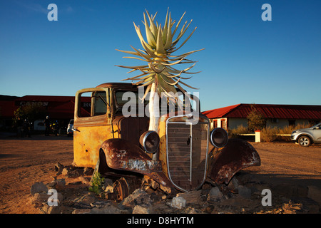 Kokerboom oder Köcherbaum wächst durch verlassene Auto im Canon Roadhouse, in der Nähe von Fish River Canyon, südlichen Namibia, Afrika Stockfoto