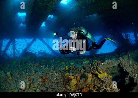 Eine weibliche Taucher schwimmt in der Tenneco Türme Tauchplatz in der Nähe von Fort Lauderdale, Florida Stockfoto