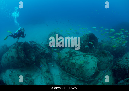 Ein weiblicher Taucher schwimmt untersucht die Trümmer des Meeres Kaiser Wracks in der Nähe der Küste von Fort Lauderdale, Florida Stockfoto