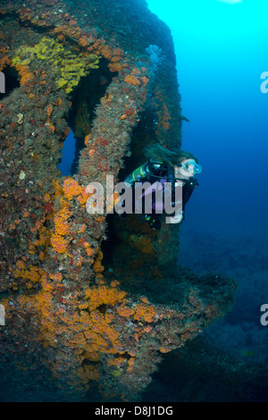 Eine weibliche Taucher schwimmt durch eine Öffnung in einem Wrack in der Nähe der Küste von Pompano Beach, Florida Stockfoto