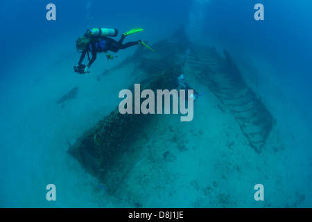 Taucher nehmen Sie Fotos und Video von einem Wrack in Florida Stockfoto