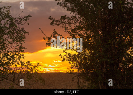 Blick auf den Sonnenuntergang in der Nähe von Gourvillette, Charente Maritime, Frankreich Stockfoto