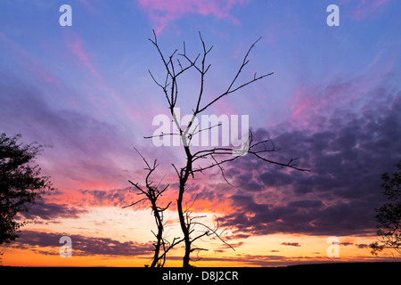 Blick auf den Sonnenuntergang in der Nähe von Gourvillette, Charente Maritime, Frankreich Stockfoto