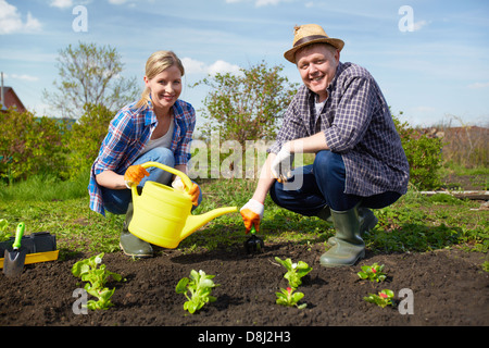 Bild des Paares der Landwirte bei der Gartenarbeit Stockfoto