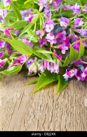 Wunderschöne violette wilden Frühlingsblumen auf rustikalem Holzbrett (Backgroung, Textur) großaufnahme, Raum, vertikale kopieren Stockfoto