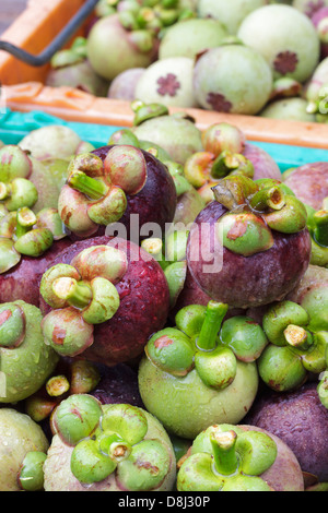 Frische Bio Mangostan nach der Ernte von der Plantage auf Te Markt gehen. Stockfoto