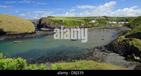 Abercastle Pembrokeshire Wales Stockfoto