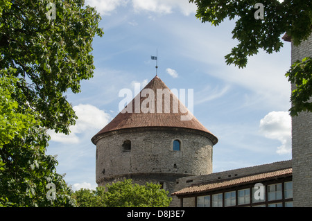 Kiek in de Kok, Kanonenturm, Tallinn, Estland Stockfoto