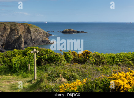 Küste Weg Wales Caerfai bay St Brides Bay in Pembrokeshire Nationalpark Stockfoto