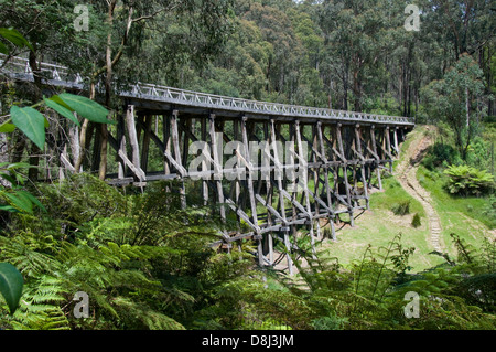 Noojee Trestle Bridge, in der Nähe von Warragul, Victoria, Australien Stockfoto