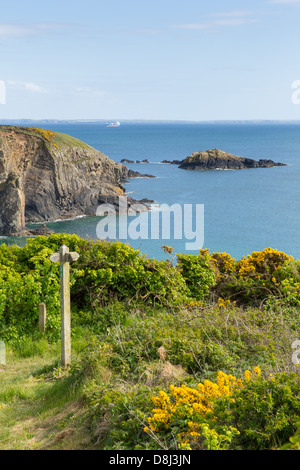 Küste Weg Wales Caerfai bay St Brides Bay in Pembrokeshire Nationalpark Stockfoto