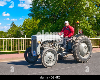 Französischen Bauern fahren alte restaurierte grau Ferguson Traktor auf "Retro-Méchanique" Rallye - Frankreich. Stockfoto