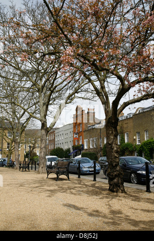 Mit Blick auf die Prince Of Wales Kneipe in Kennington, Cleaver Square, London, UK Stockfoto