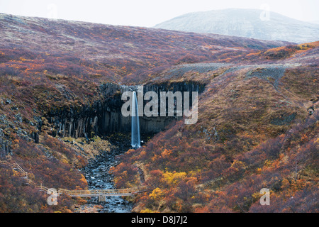 Europa, Island, Skaftafell-Nationalpark, Wasserfall Svartifoss Stockfoto