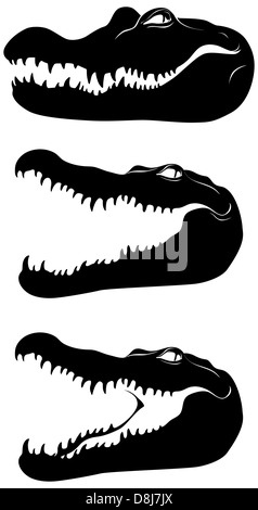 Schwarzer Kopf des Krokodils. Vektor-Bild. Stockfoto