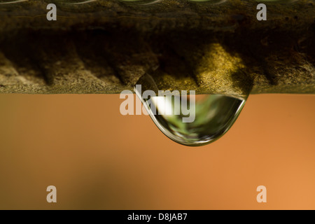 Wassertropfen auf Draht (Nahaufnahme) Stockfoto