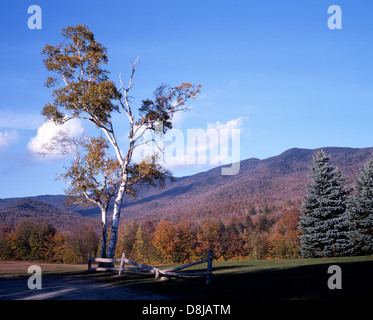 Blick über die Landschaft während der "fallen", in der Nähe von Stowe; Vermont, Vereinigte Staaten von Amerika. Stockfoto