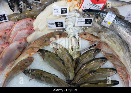 Anzeige von frischem Fisch auf einem Supermarkt-Theke Stockfoto