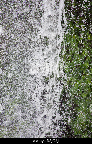 Wasser, das aus einem Wasserfall in üppiger grüner Vegetation, Royal National Park, NSW, Australien Stockfoto